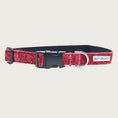 Load image into Gallery viewer, Rosy pink hued glitter 1" wide dog collar with a D-ring, black nylon inner webbing and black plastic buckle. The fabric itself is shimmery & glittery - it is not glued on.