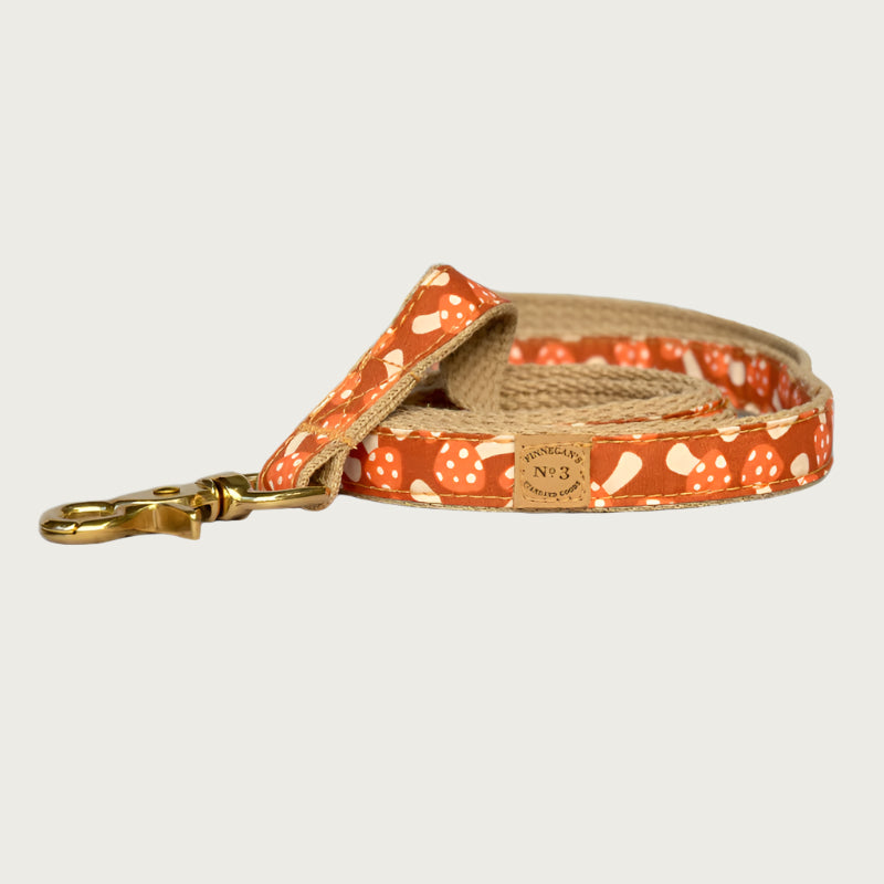 Creamsicle Mushroom Collar