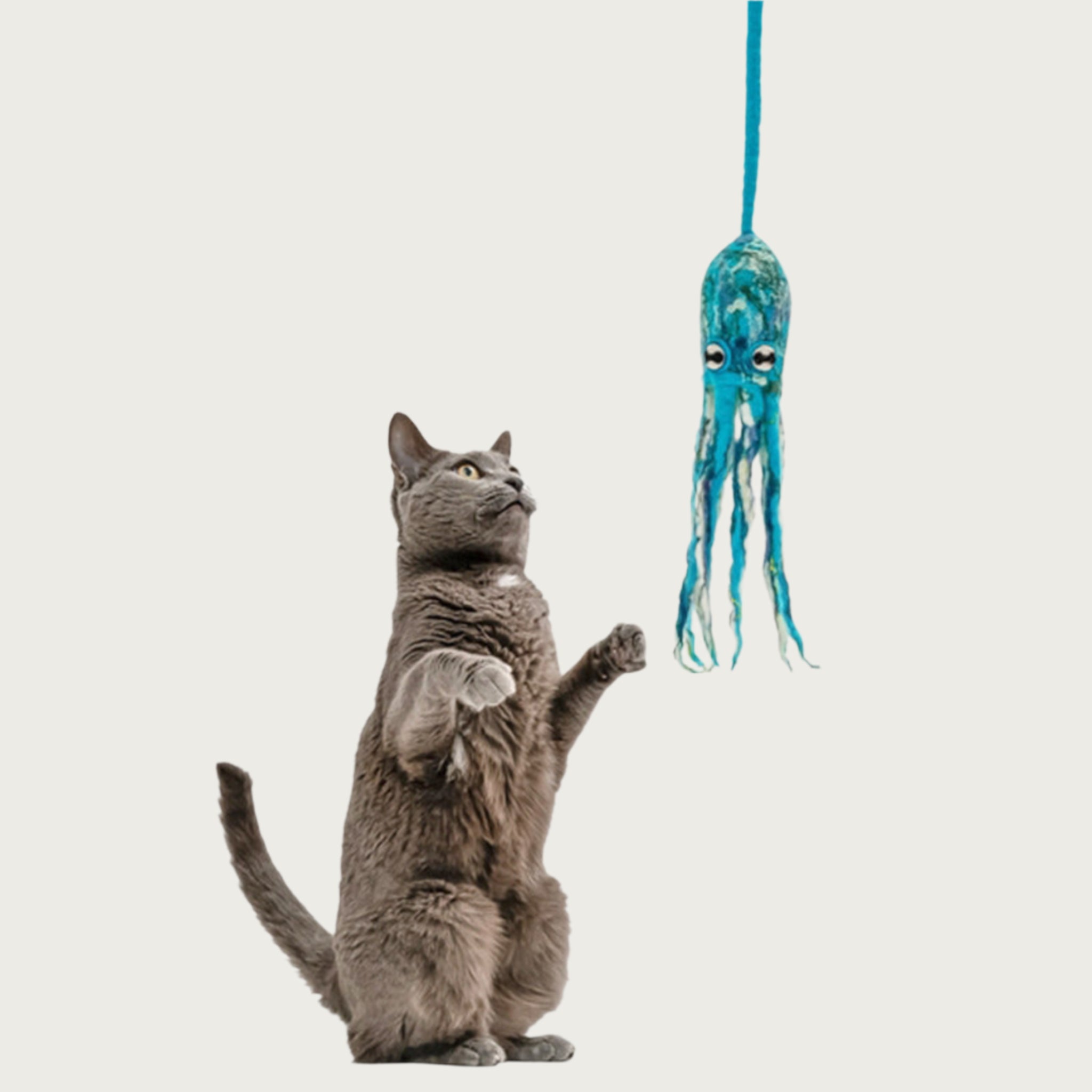 Gray cat about to grab the wool octopus toy that is being dangled in front of him.