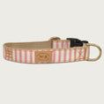 Load image into Gallery viewer, Dog collar with a base pale yellow color with vertical pink stripes in varying thickness.