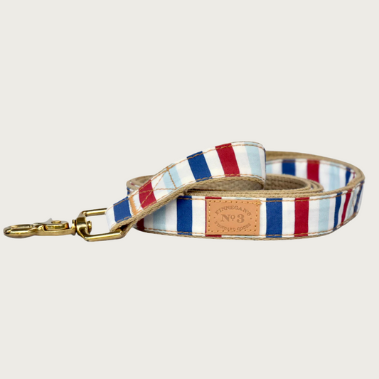 Dog leash with red, white, navy and light blue, wide vertical striped pattern. Brass claw-style clip.