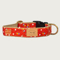 Load image into Gallery viewer, Bright red dog collar with small, scattered tiny blooms in light blue, yellow and white (they look like tiny balloons), with tiny white polka dots on the background.