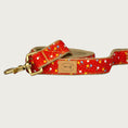 Load image into Gallery viewer, Bright red dog leash with small, scattered tiny blooms in light blue, yellow and white (they look like tiny balloons), with tiny white polka dots on the background.