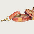 Load image into Gallery viewer, Dog leash with a southwestern, serape style pattern in orange, blue, and cream hues. Brass clasp.