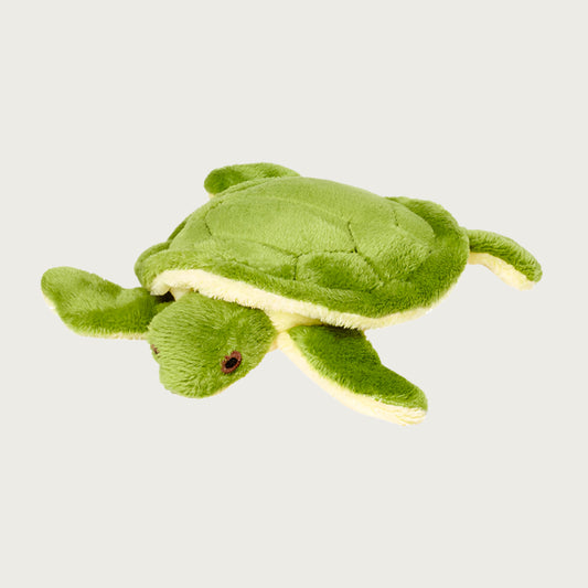 Plush Shelly Turtle dog toy from Fluff & Tuff. Toy looks like a baby sea turtle. It is a medium shade of green on top, and underneath it is pale yellow, with brown eyes.