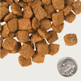 Load image into Gallery viewer, A close-up image of a handful of dry Chicken a la Veg kibble pieces, next to a dime for size comparison. 1-2 of the pieces would fit into the area of the dime. They have a slightly rounded square shape to them.