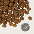 Load image into Gallery viewer, A close-up image of a handful of dry Salmon A La Veg kibble pieces, next to a dime for size comparison. 1-2 of the round pieces would fit into the area of the dime.
