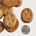 Load image into Gallery viewer, An extreme close-up photo of a few of the Fromm Parmesan Cheese treats next to a dime for size comparison. One of the oblong shaped treats is about the size of 2-3 dimes, and 1/4 inch thick.