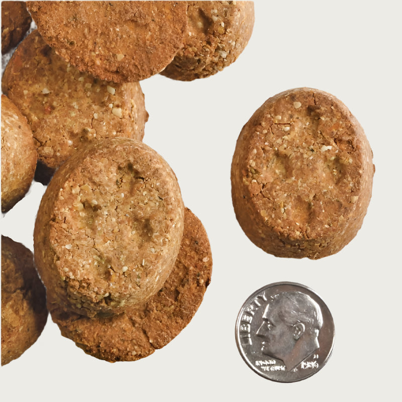 An extreme close-up photo of a few of the Fromm Parmesan Cheese treats next to a dime for size comparison. One of the oblong shaped treats is about the size of 2-3 dimes, and 1/4 inch thick.