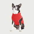 Load image into Gallery viewer, View of the front of a Boston Terrier wearing the Tomato Red Microfiber Stretch Fleece.