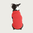 Load image into Gallery viewer, View of the back of a Boston Terrier wearing the Tomato Red Microfiber Stretch Fleece.
