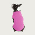 Load image into Gallery viewer, View of the back of a Boston Terrier wearing the Pink Microfiber Stretch Fleece. The color is a bright medium pink shade.