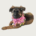 Load image into Gallery viewer, German Shepherd puppy wearing the pink birthday pom pom collar.