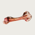 Load image into Gallery viewer, A single raw lamb femur bone with visible meat on it.