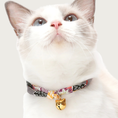 Load image into Gallery viewer, Front view of a Siamese cat wearing the Chirimen Hanabi Fireworks collar in Gray.