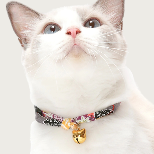 Front view of a Siamese cat wearing the Chirimen Hanabi Fireworks collar in Gray.
