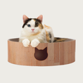 Load image into Gallery viewer, Calico cat sitting in the Cozy Cat Scratcher Bowl.
