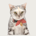 Load image into Gallery viewer, Gray & white tabby cat wearing the Ninja cat collar in Red (rust colored).