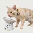 Load image into Gallery viewer, Orange & white cat eating from the Tilted Raised Cat Food Bowl.