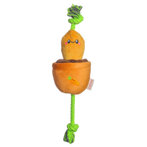 Carrot Treat & Tug Toy