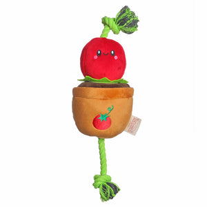 Tomato Treat & Tug Toy