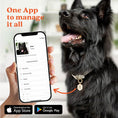 Load image into Gallery viewer, Photo of a Black German Shepherd dog, next to close-up of a smartphone, showing the dog's profile on the Tailr app. Text reads "One App to manage it all". Apple users: download on the App Store. Non-Apple users: get it on Google Play.