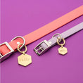 Load image into Gallery viewer, Both sizes of the Tailr Classic Pet ID Tag, shown on side-by-side collars.