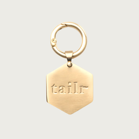 Hexagon shaped, brushed gold Tailr Pet ID Tag, with matching circular ring to attach to a pet's collar. Tag is engraved with the word "tailr".