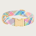 Load image into Gallery viewer, Colorful pastel plaid dog collar in all shades of the rainbow with gold-toned hardware.