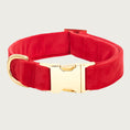 Load image into Gallery viewer, Bright red velvet dog collar with a gold toned metal buckle & D-ring.