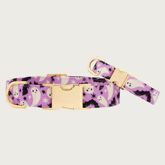 Two example collars with different widths (5/8" and 1"), with the smaller & more narrow collar leaning on the larger one.