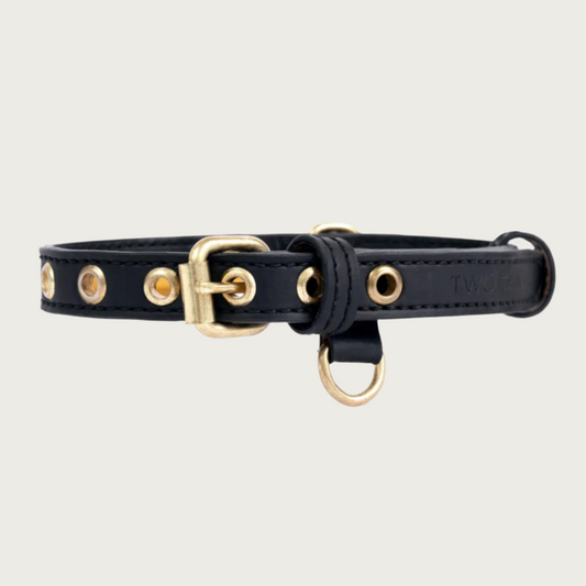 Black faux leather buckle style dog collar, with gold-toned grommets, buckle, and 2 D-rings. Collar also features 2 round, stationary faux leather loops to hold the extra strap length in place.