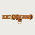 Load image into Gallery viewer, Caramel colored (warm medium brown) faux leather buckle style dog collar, with gold-toned grommets, buckle, and 2 D-rings. Collar also features 2 round, stationary faux leather loops to hold the extra strap length in place.