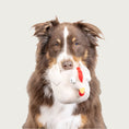 Load image into Gallery viewer, Australian Shepherd dog holding the chicken toy in its mouth to show scale.
