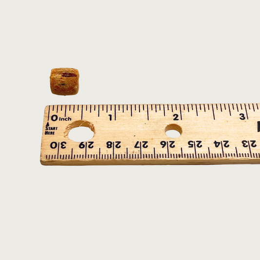 One nibble treat next to a ruler to show size. It is just under 0.5" long.
