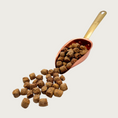 Load image into Gallery viewer, A copper scoop full of Pot Pie Nibbles, that are also spilling out in front of it. The individual nibbles are brown and about the size and shape of a pencil eraser.
