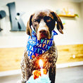 Load image into Gallery viewer, Birthday Pawty - Reservation