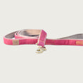 Load image into Gallery viewer, Bubblegum pink corduroy dog leash with brass clasp.