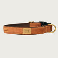 Load image into Gallery viewer, Caramel-brown corduroy dog collar with black plastic buckle and brass D-ring.