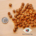 Load image into Gallery viewer, A close-up image of a handful of dry Beef Frittata Veg kibble pieces, next to a dime for size comparison. About 3 of the pieces would fit into the area of the dime. They are small, and about the size and shape of a pencil eraser.