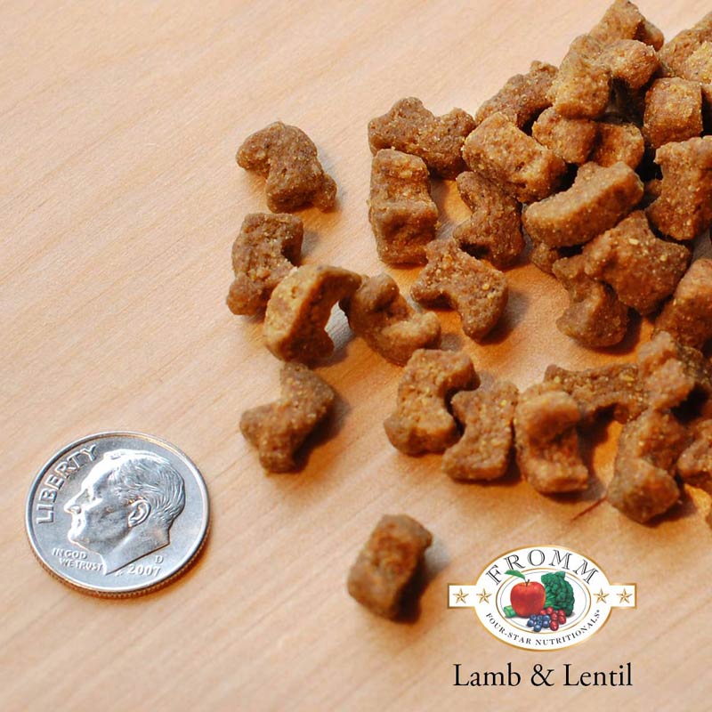 A close-up image of a handful of dry Lamb & Lentil kibble pieces, next to a dime for size comparison. 2-3 of the pieces would fit into the area of the dime. They have a slight animal shape to them.
