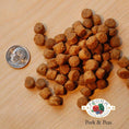 Load image into Gallery viewer, A close-up image of a handful of dry Pork & Peas kibble pieces, next to a dime for size comparison. About 3 of the pieces would fit into the area of the dime. They are small, and about the size and shape of a pencil eraser.