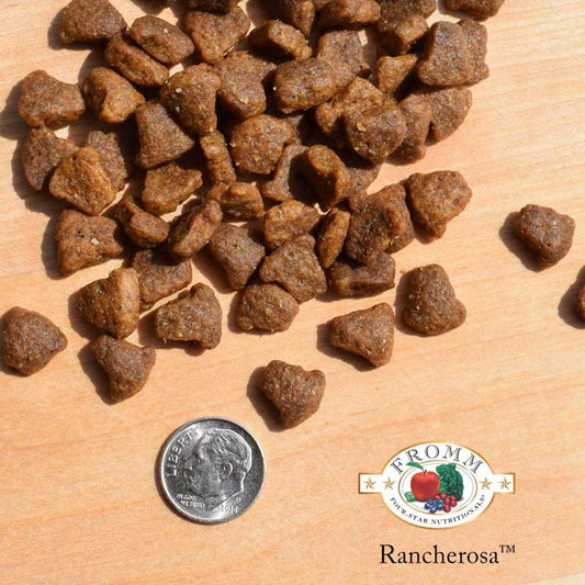 A close-up image of a handful of dry Rancherosa kibble pieces, next to a dime for size comparison. 2 of the pieces would fit into the area of the dime. They have a slightly rounded triangle shape to them.