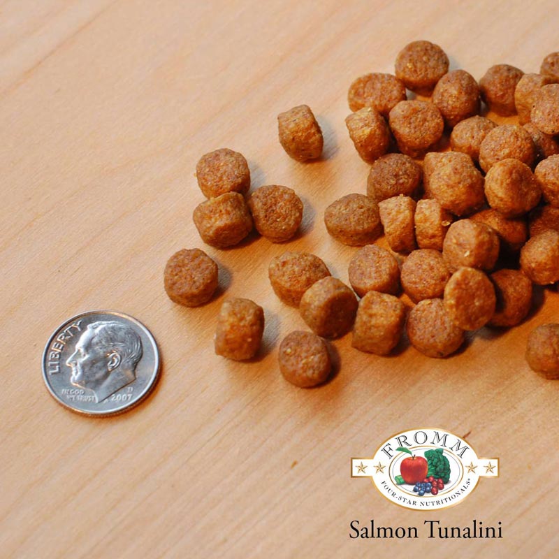 A close-up image of a handful of dry Salmon Tunalini kibble pieces, next to a dime for size comparison. About 3 of the pieces would fit into the area of the dime. They are small, and about the size and shape of a pencil eraser.
