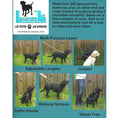 Load image into Gallery viewer, Aqua Paracord Collar