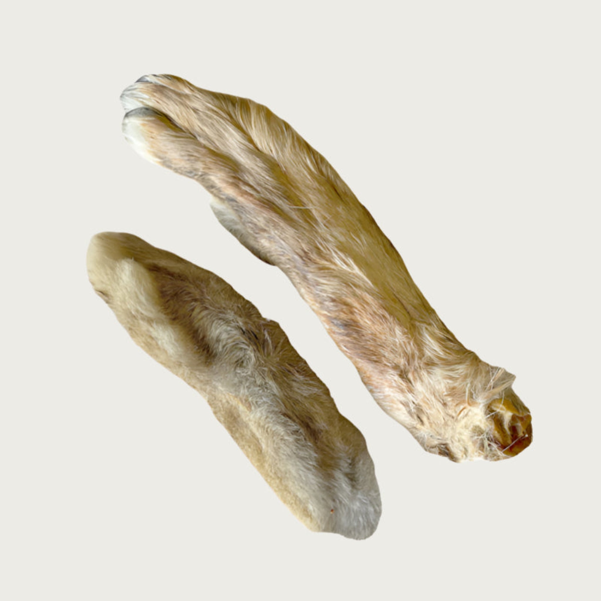 Two rabbit feet dog chews side by side to show size & color variations.