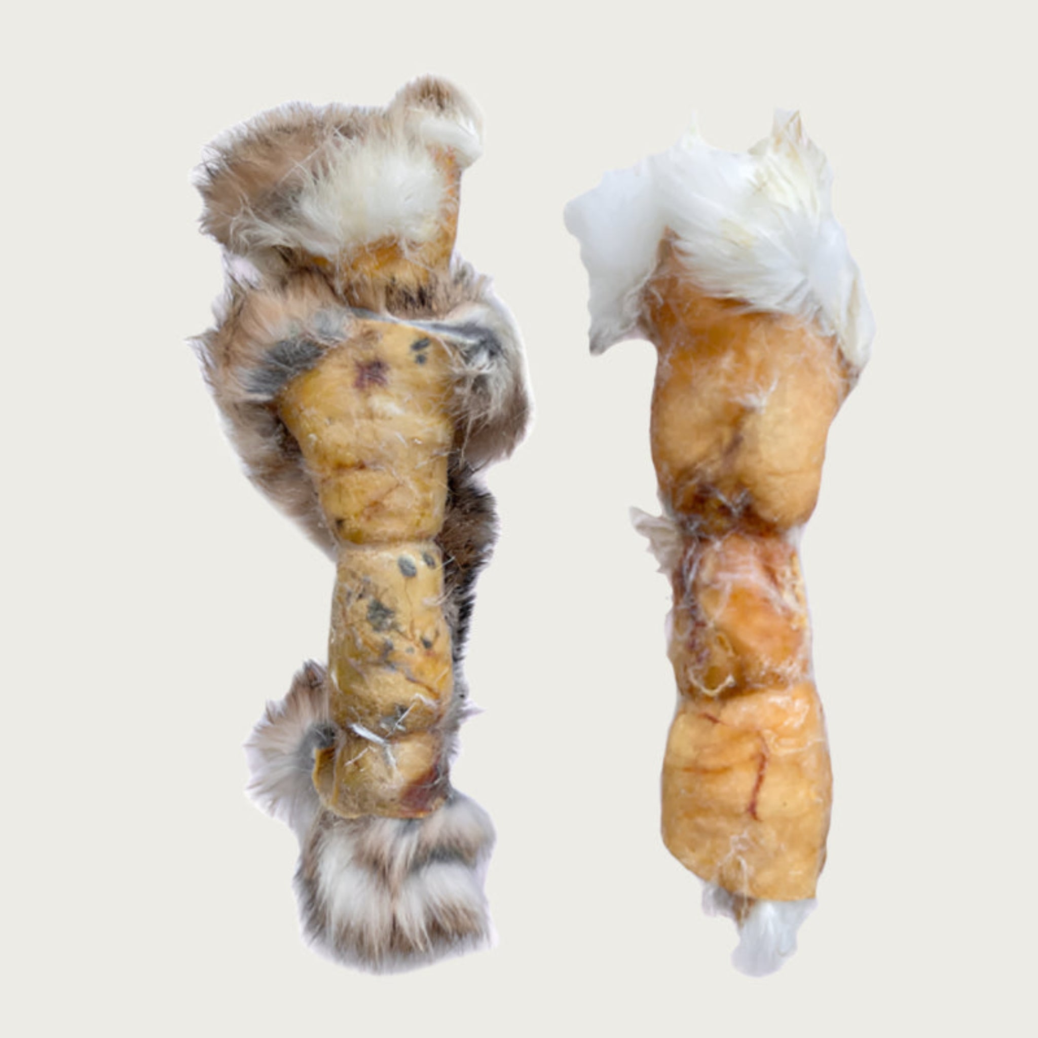 Two rabbit hide rolls side by side to show color & size variation. The hide is rolled, with fur in the middle and dried hide on the exterior.