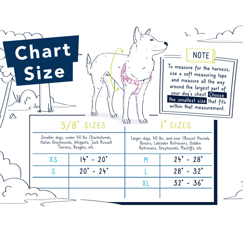 Freedom No Pull Harness