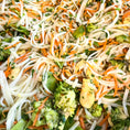 Load image into Gallery viewer, WET NOSE Chicken Stir Fry Treat for Dogs
