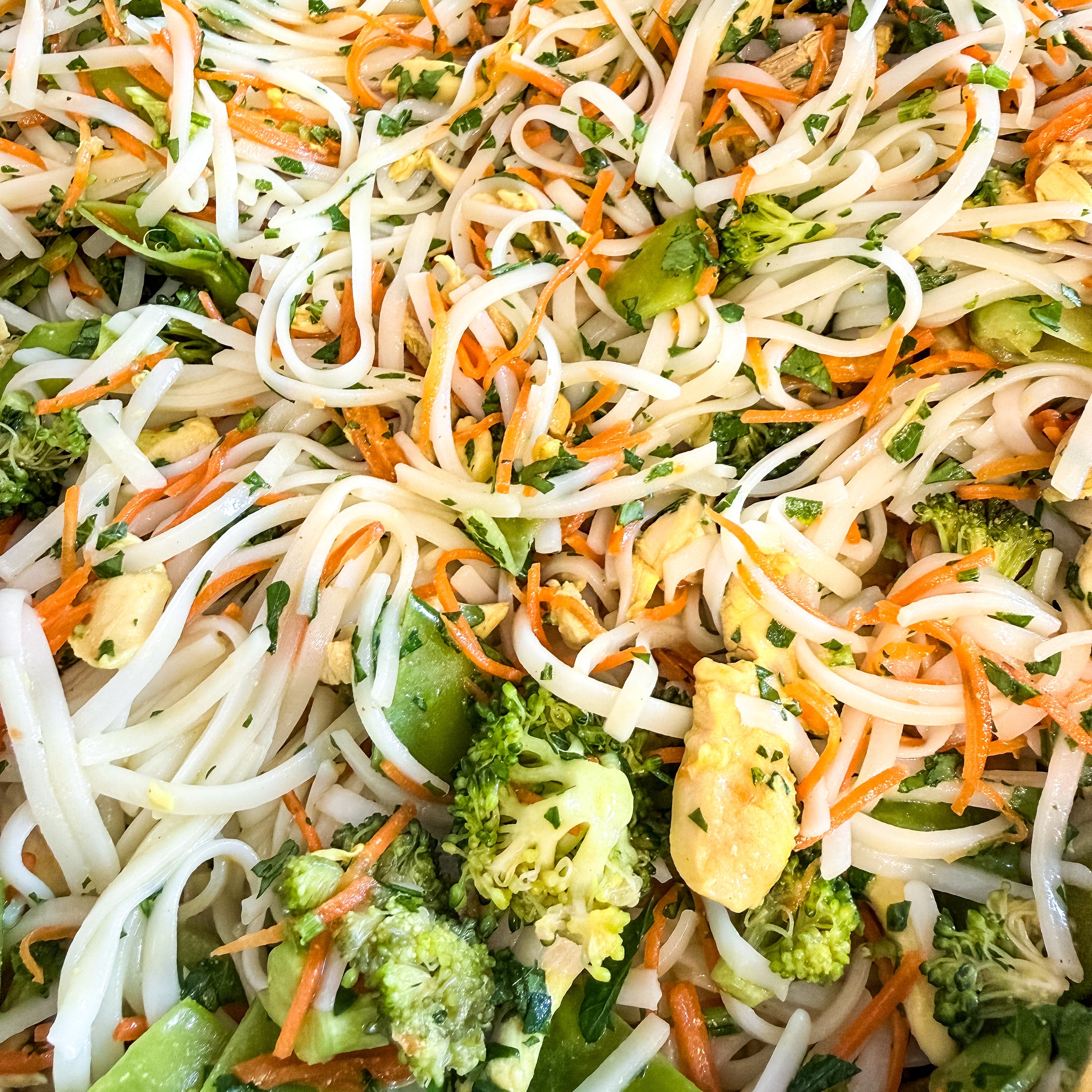 WET NOSE Chicken Stir Fry Treat for Dogs
